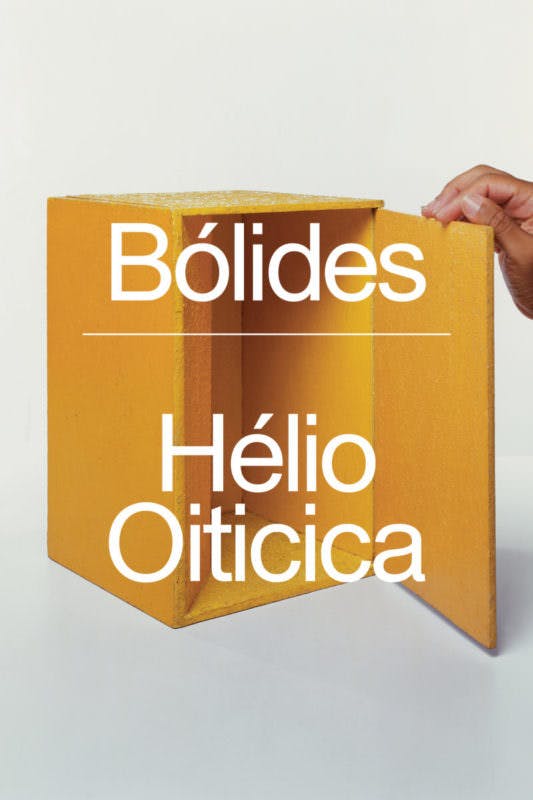 Hélio Oiticica Catalogue