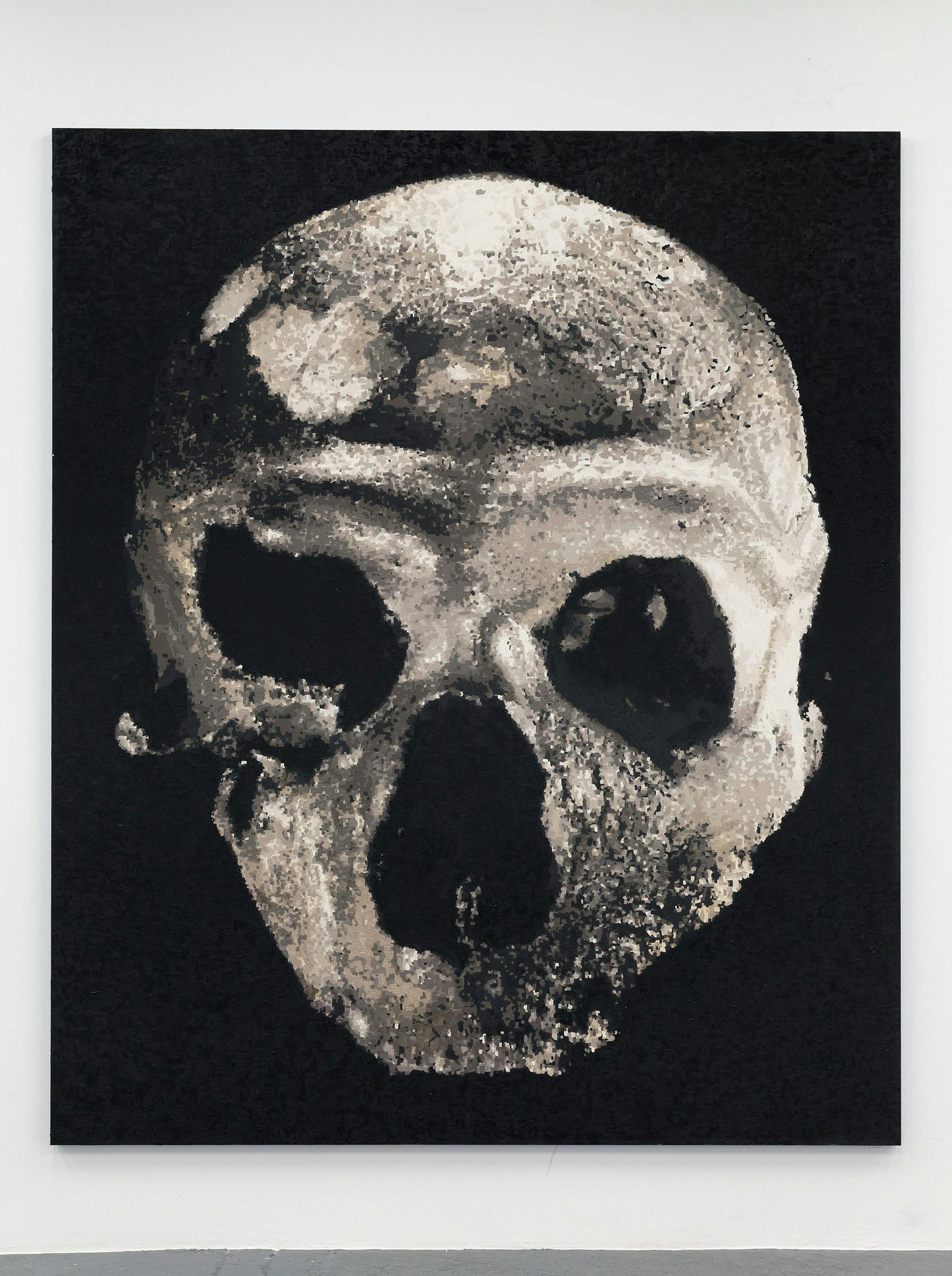 Blake Rayne, Skull Anabranch, 2018