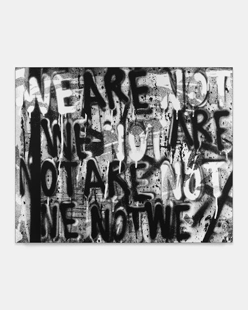 Untitled (WE ARE NOT)