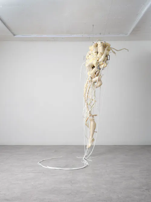 Physically: The flowing mind with a peeled off layer