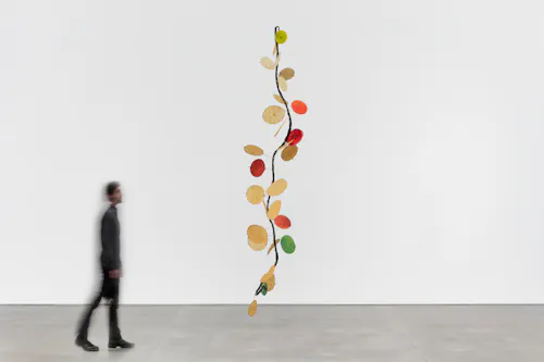 Money Tree Floating Vine 1