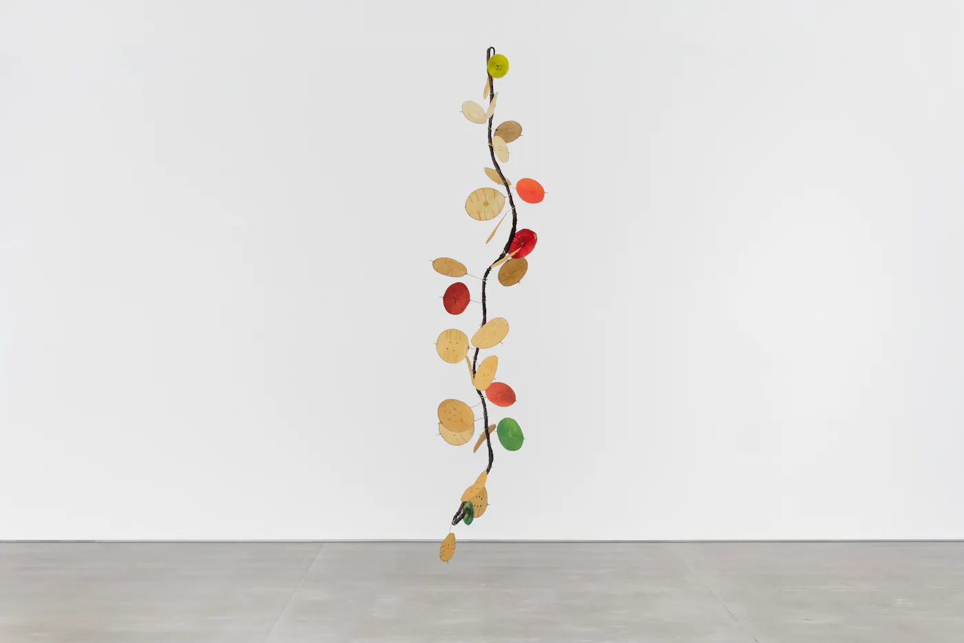 artworks/a1IUb0000076HdFMAU/MF1072_02-22cgtngx.jpg