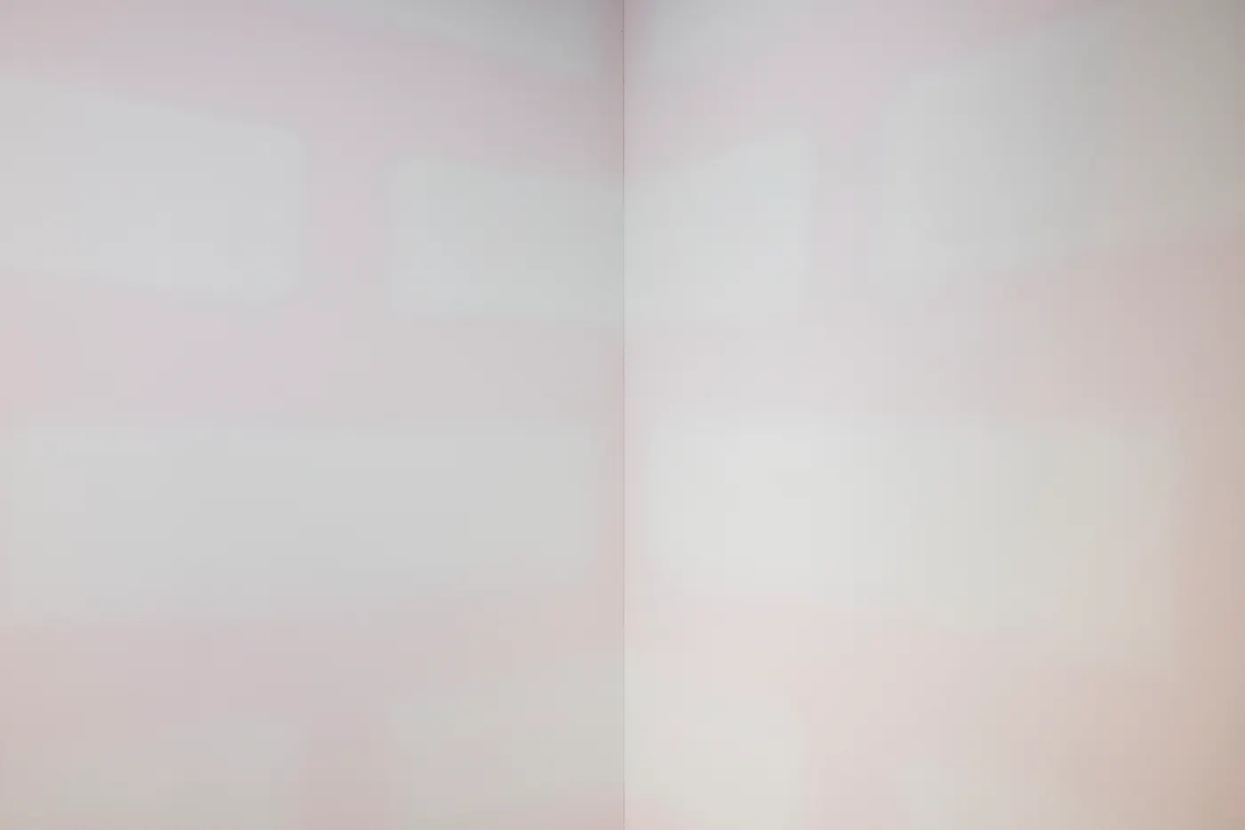 artworks/a1IUb000007KhhVMAS/Anthea-Hamilton_Pink-Bricks_02-fbe8t6xq.jpg