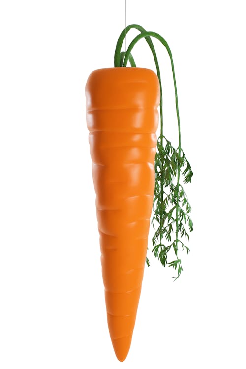 Fake Carrot